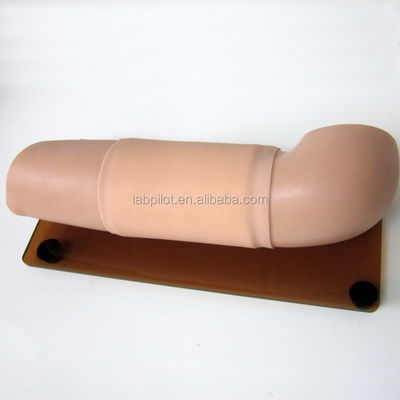 Manikin for Obstetrical and Gynecological Skills Model Contraception Teaching Arm Model