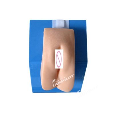 Simple Catheterization Simulator Female Urethral Catheterization Manikin