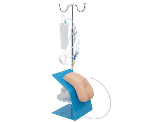 Simple Catheterization Simulator Female Urethral Catheterization Manikin