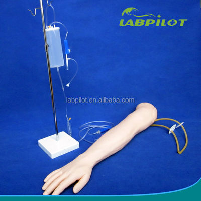 Intravenous Infusion and Injection Teaching Arm Model for Medical Simulation Practice