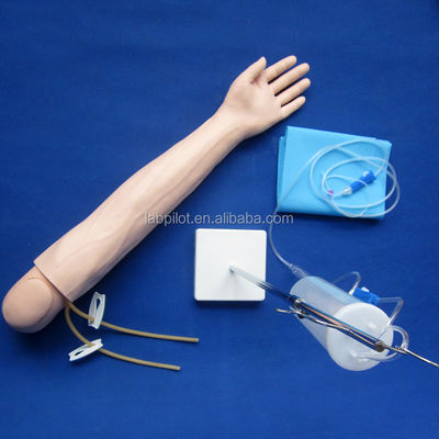 Intravenous Infusion and Injection Teaching Arm Model for Medical Simulation Practice