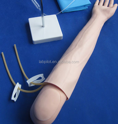 Intravenous Infusion and Injection Teaching Arm Model for Medical Simulation Practice