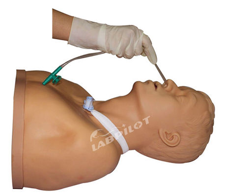 Nursing Manikin with Suction Training Function Adult Tracheostomy Care and Suction