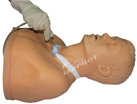Nursing Manikin with Suction Training Function Adult Tracheostomy Care and Suction
