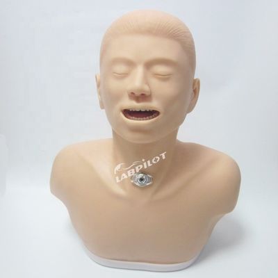 Nursing Manikin with Suction Training Function Adult Tracheostomy Care and Suction