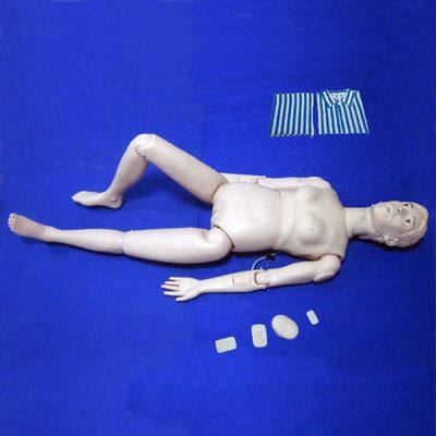 Medical Science Multi-functional Nursing Manikin for Flexible Personal Care Training