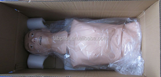 Half Body Manikin The Ultimate Teaching Model for Nasogastric Feeding Care in Hospitals