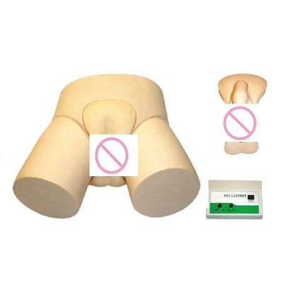 Advanced PVC Electronic Urethral Catheterization and Enema Training Model for Professional