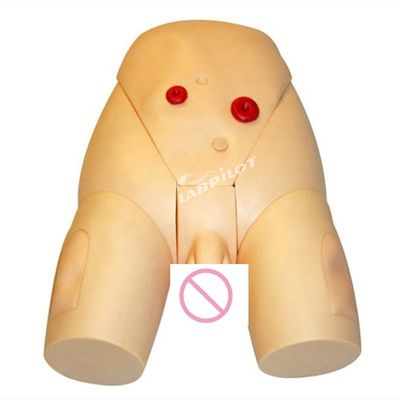 Male Catheterization IM Injection Model for Medical Science Clinical Nursing Training