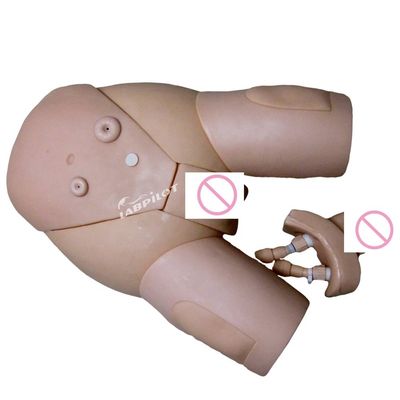 Male Catheterization IM Injection Model for Medical Science Clinical Nursing Training