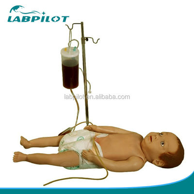 Realistic Skin Simulation Infant Full-body Venipuncture Model for Women and Children