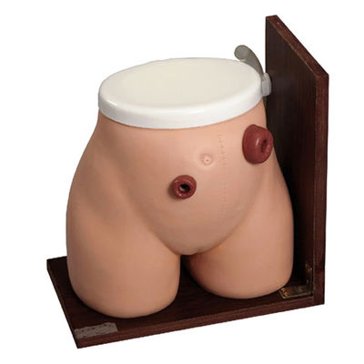 Enema Skills Teaching Manikin The Perfect Training Tool for Medical Fistula Stoma Care
