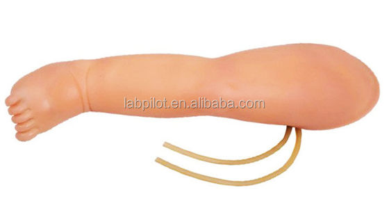 Infant Venipuncture Training Leg IV Injection Simulator with Advantage of Advanced PVC
