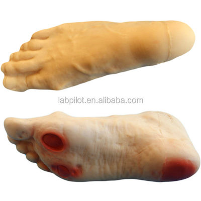 Diabetic Foot Nursing Simulator Model Featuring Enema Skills Teaching Manikin