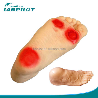 Diabetic Foot Nursing Simulator Model Featuring Enema Skills Teaching Manikin