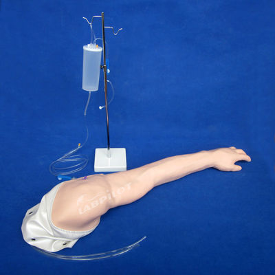 Full-functional Advanced PVC Venous Transfusion and Injection Arm IV Training Model