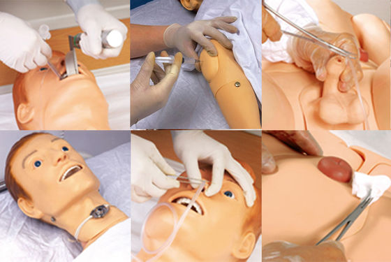 Multi-purpose Nursing Manikin with Venipuncture and BP Measurement Training Features