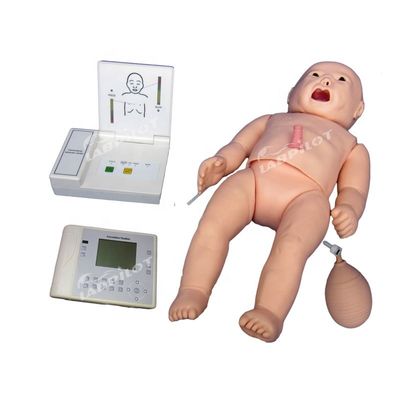 CPR Auscultation Function Manikin for Multi-functional Maternity and Pediatric Care