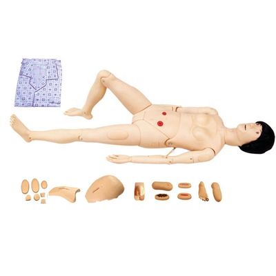 Categories Comprehensive Nursing Care Practice with Multi-functional Nursing Manikin