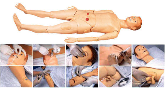 Categories Comprehensive Nursing Care Practice with Multi-functional Nursing Manikin