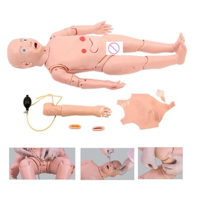 Paediatrics Anatomical Model for Maternity and Pediatric Care Training of 3-Year-Olds