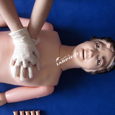 Basic Resuscitation and Nursing Skills Training Dummy for Human Life Size Caregivers