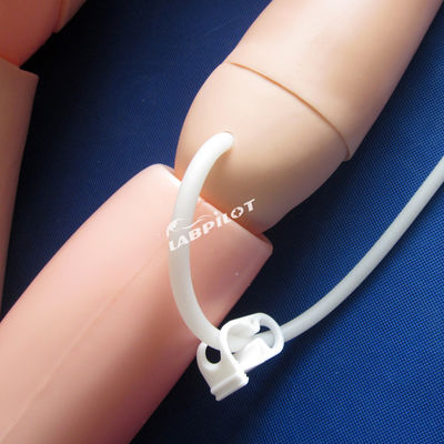 Basic Resuscitation and Nursing Skills Training Dummy for Human Life Size Caregivers