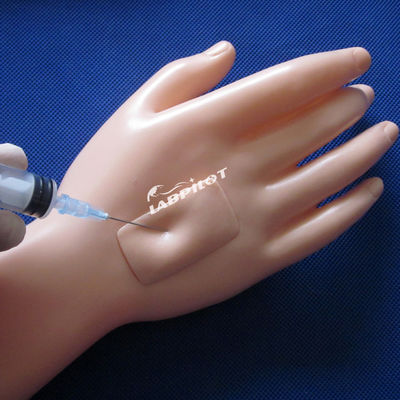Basic Resuscitation and Nursing Skills Training Dummy for Human Life Size Caregivers