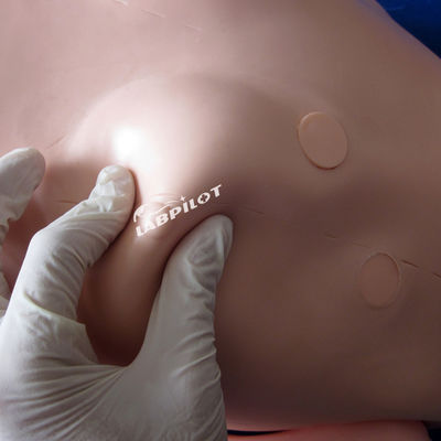Basic Resuscitation and Nursing Skills Training Dummy for Human Life Size Caregivers