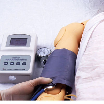 Multi-purpose Nursing Manikin with Venipuncture and BP Measurement Training Features