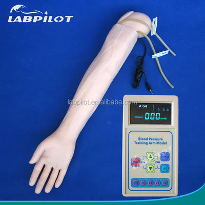 Advanced PVC Manikin for Medical Practice Arm Simulation and BP Measurement Training