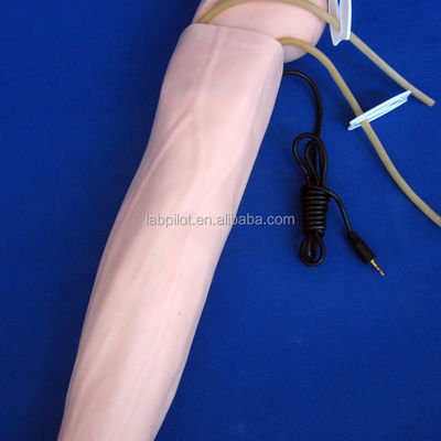 Advanced PVC Manikin for Medical Practice Arm Simulation and BP Measurement Training