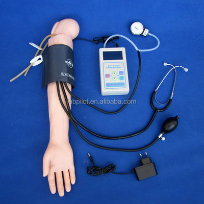 Advanced PVC Manikin for Medical Practice Arm Simulation and BP Measurement Training