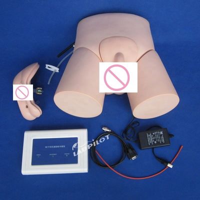 Advanced PVC Controller-operated Nursing Catheterization Manikin for Human Life Size