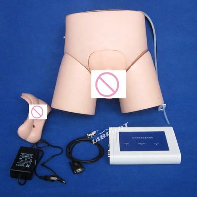Advanced PVC Controller-operated Nursing Catheterization Manikin for Human Life Size