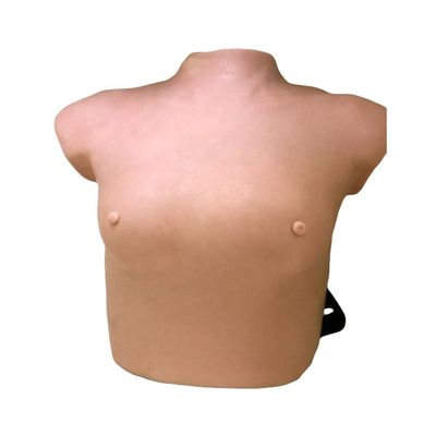 Advanced PVC Wearable Breast Examination Model for GYN Skills Teaching Anatomy Lesson
