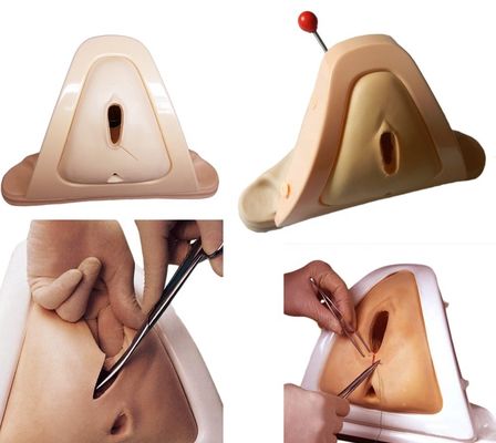 Advanced PVC Obstetrics-Gynecology Model for Teaching Economic Skills Lab Techniques