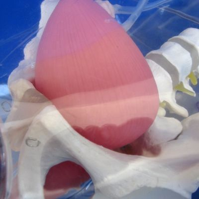 Advanced PVC Transparent Female Urethral Catheterization Trainer for Nursing Training