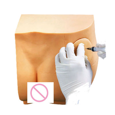 Clinical Nursing Training Simple Hip Injection Trainer IM Injection Teaching Model