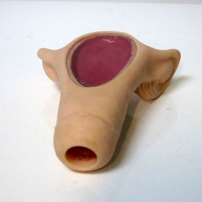 Patients Care Demonstration Compact Hand-held IUD Insertion Trainer for Medical Science