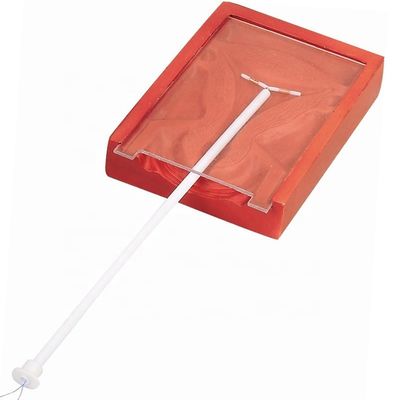 Obstetrics and Gynecology Skills Teaching IUD Insertion Trainer for Patients Care