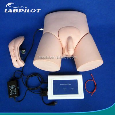 Medical Teaching Simulators Adult Catheterization Training with Intubation Monitor