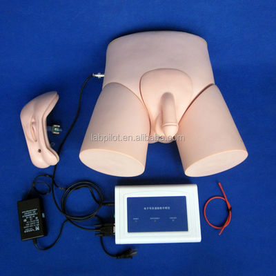 Medical Teaching Simulators Adult Catheterization Training with Intubation Monitor