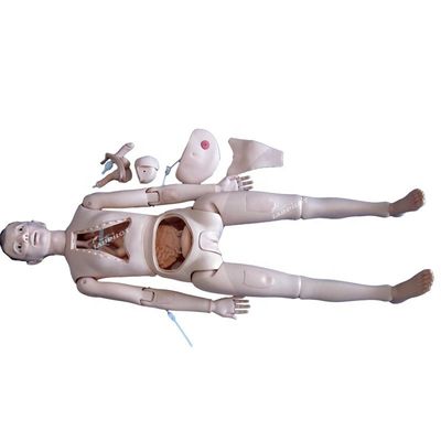 Human Life Size Comprehensive Clinical Training Mannequin for Healthcare Professionals