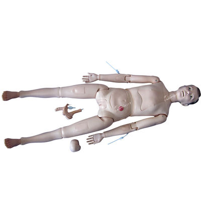 Human Life Size Comprehensive Clinical Training Mannequin for Healthcare Professionals