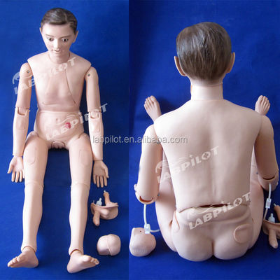 Human Life Size Comprehensive Clinical Training Mannequin for Healthcare Professionals