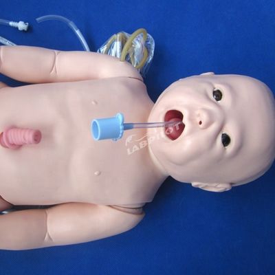 Newborn Baby Umbilical Nursing Venipuncture Intubation and CPR Training with Manikin