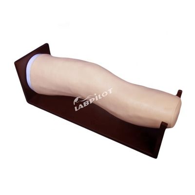 Advanced PVC Knee Model for Intra-articular Injections and Joint Aspiration Training