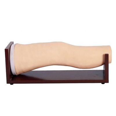 Advanced PVC Knee Model for Intra-articular Injections and Joint Aspiration Training