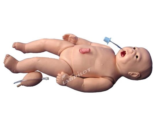 ACLS Neonatal Nursing Manikin Human Life Size Subject for Medical Science Teaching